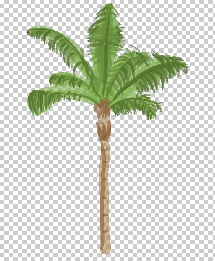 Arecaceae Tree Date Palm Coconut Queen Palm PNG, Clipart, Arecaceae, Arecales, Coconut, Date Palm, Flowerpot Free PNG Download