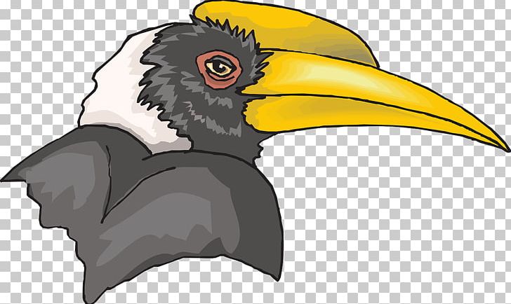 Bird Great Hornbill PNG, Clipart, Animals, Beak, Bird, Bird Of Prey, Clip Art Free PNG Download