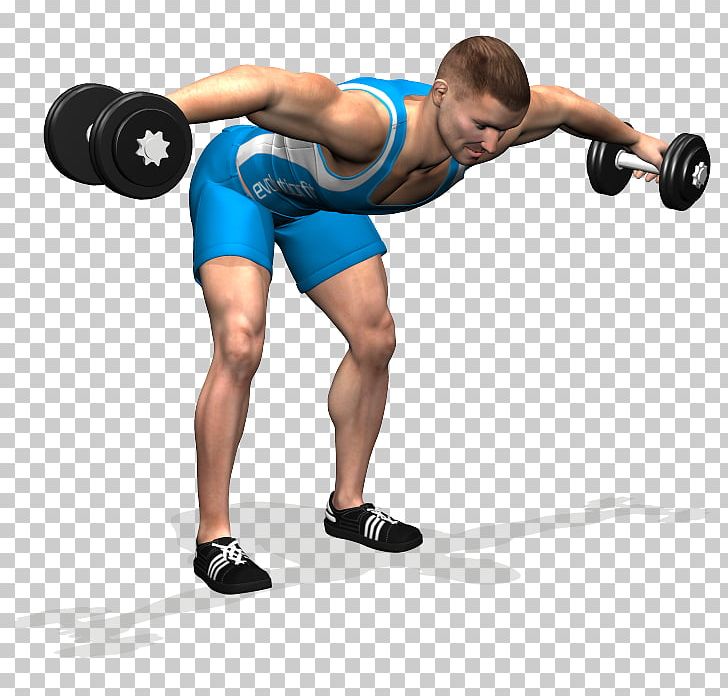 Weight Training Alzata Laterale Shoulder Rear Delt Raise Deltoid Muscle PNG, Clipart, Abdomen, Arm, Bodybuilder, Boxing Glove, Fitness Centre Free PNG Download