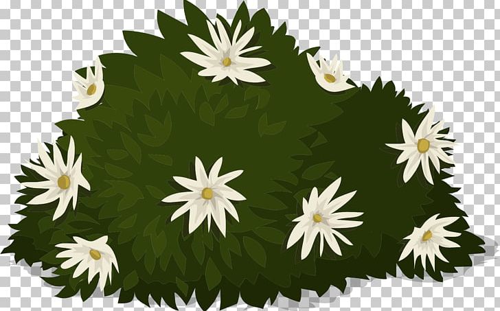 Flower White PNG, Clipart, Animation, Black And White, Chrysanthemum, Chrysanths, Dahlia Free PNG Download