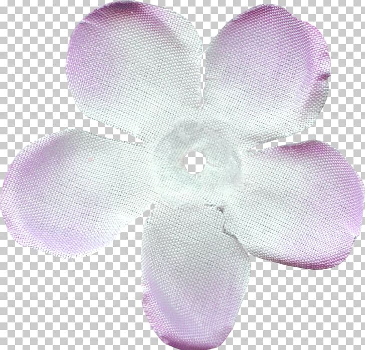 Moth Orchids PNG, Clipart, Flower, Kiss Me, Lilac, Moth Orchid, Moth Orchids Free PNG Download