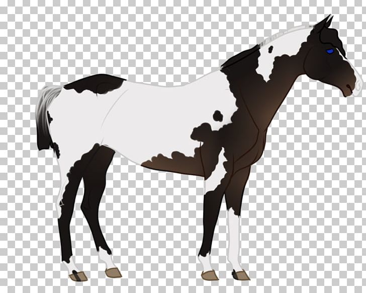 Mustang Foal Mare Stallion Colt PNG, Clipart, Animal Figure, Bridle, Colt, Foal, Halter Free PNG Download