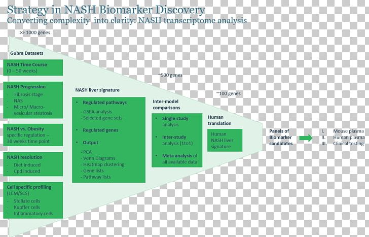 Non-alcoholic Fatty Liver Disease Biomarker Steatohepatitis PNG, Clipart, Assay, Biomarker, Brand, Disease, Nash Free PNG Download