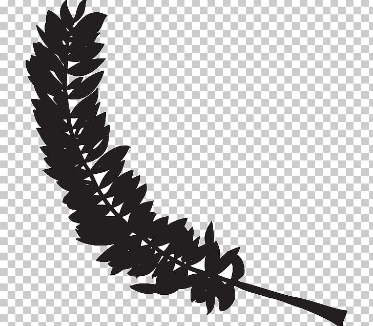 Bird Feather PNG, Clipart, Animals, Beak, Bird, Bird Flight, Black And White Free PNG Download