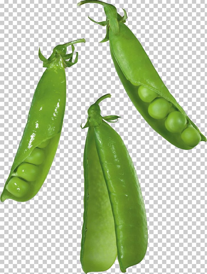 Food Snap Pea Vegetable Lima Bean Legume PNG, Clipart, Bell Peppers And Chili Peppers, Broad Bean, Chili Pepper, Food, Fruit Free PNG Download