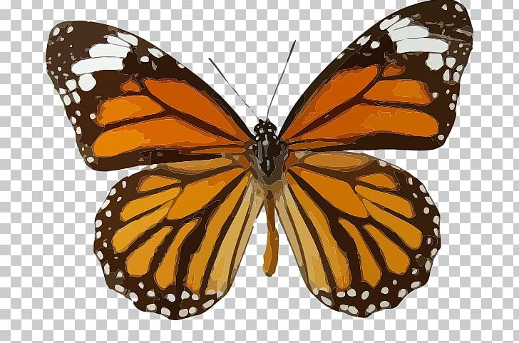 Monarch Butterfly Insect PNG, Clipart, Arthropod, Brush Footed Butterfly, Butterflies And Moths, Butterfly, Danaus Genutia Free PNG Download