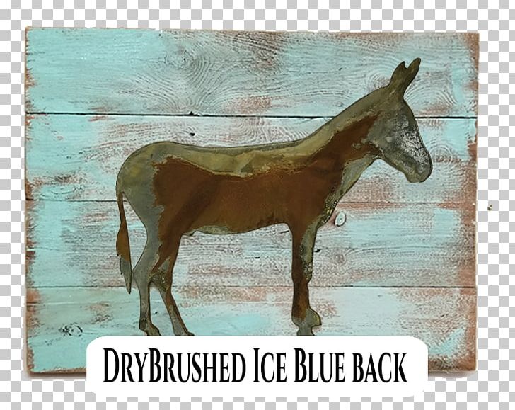Mule Mustang Foal Stallion Mare PNG, Clipart,  Free PNG Download