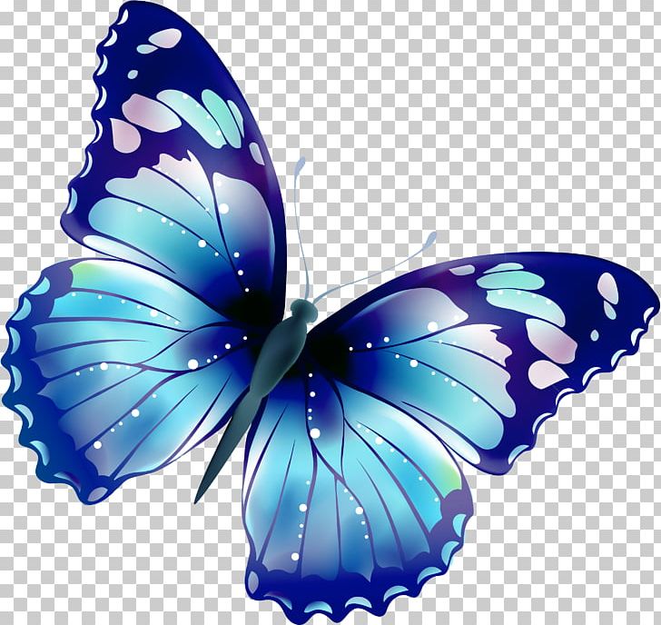 Butterfly PNG, Clipart, Art, Arthropod, Blog, Blue, Brush Footed Butterfly Free PNG Download