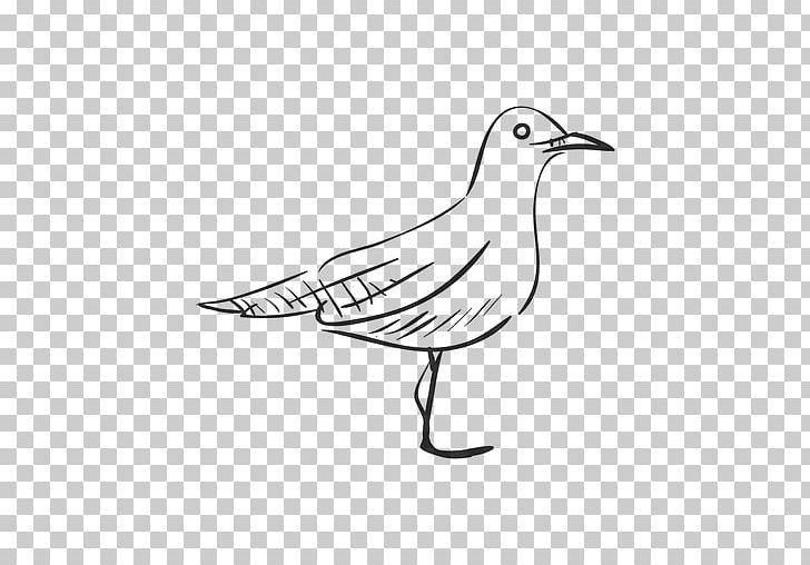 Drawing Silhouette Line Art PNG, Clipart, Animals, Artwork, Beak, Bird, Black And White Free PNG Download