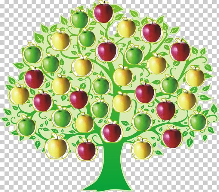 Fruit Tree Apple Dwarfing PNG, Clipart, Apple, Apples, Auglis, Clip Art, Dwarfing Free PNG Download