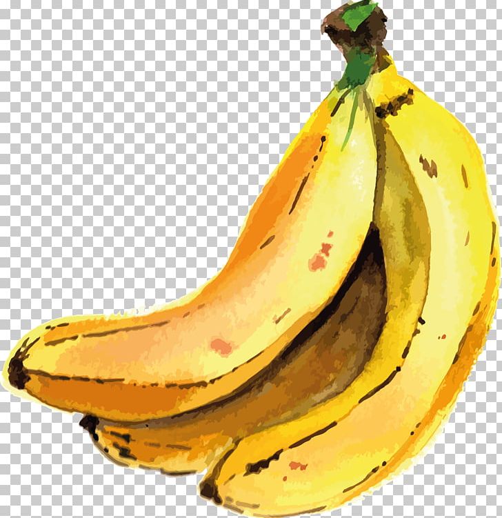 Saba Banana Cooking Banana PNG, Clipart, Apple, Banana, Banana Family, Commodity, Cooking Free PNG Download