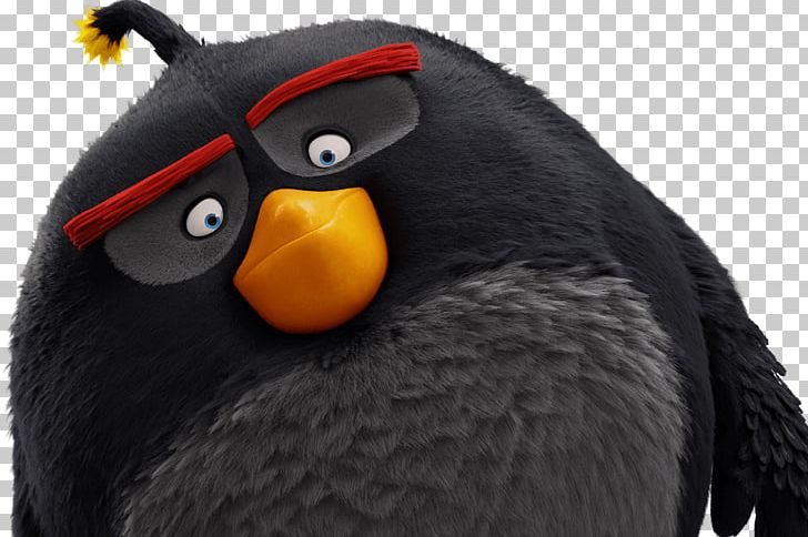 Angry Birds Mighty Eagle Film PNG, Clipart, Angry Birds, Angry Birds Movie, Animation, Batman V Superman Dawn Of Justice, Beak Free PNG Download