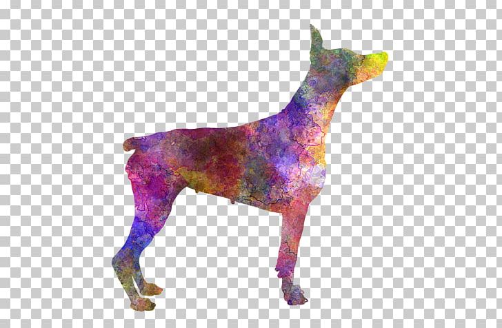 Dog Breed Dobermann Pinscher Guard Dog Giclée PNG, Clipart, Art, Carnivoran, Craft, Dobermann, Dog Free PNG Download