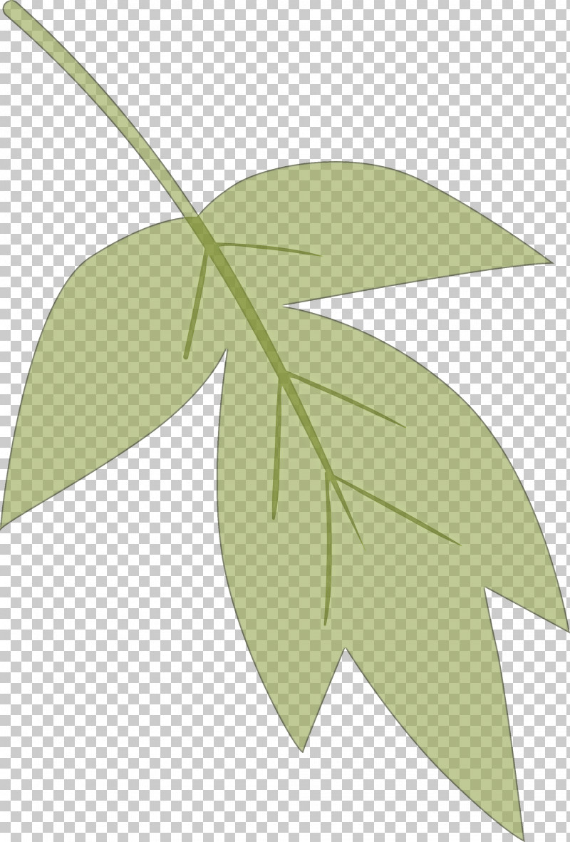 Leaf Green Plant Tree Flower PNG, Clipart, Anthurium, Flower, Green, Leaf, Plant Free PNG Download