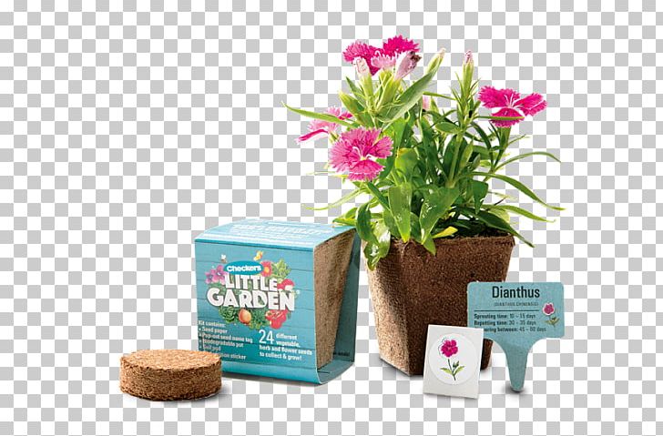 Flowerpot PNG, Clipart, Flower, Flowerpot, Plant Free PNG Download