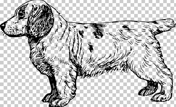 Clumber Spaniel English Cocker Spaniel Brittany Dog King Charles Spaniel PNG, Clipart, Animal, Black And White, Breed, Brittany Dog, Carnivoran Free PNG Download