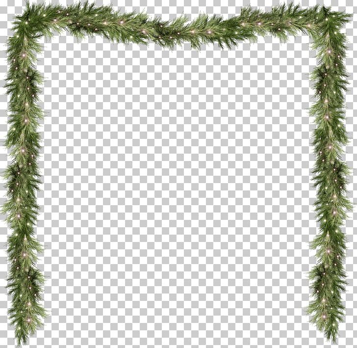 Pine Spruce Fir Branch Evergreen PNG, Clipart, Border Frames, Branch, Christmas Decoration, Christmas Ornament, Christmas Tree Free PNG Download