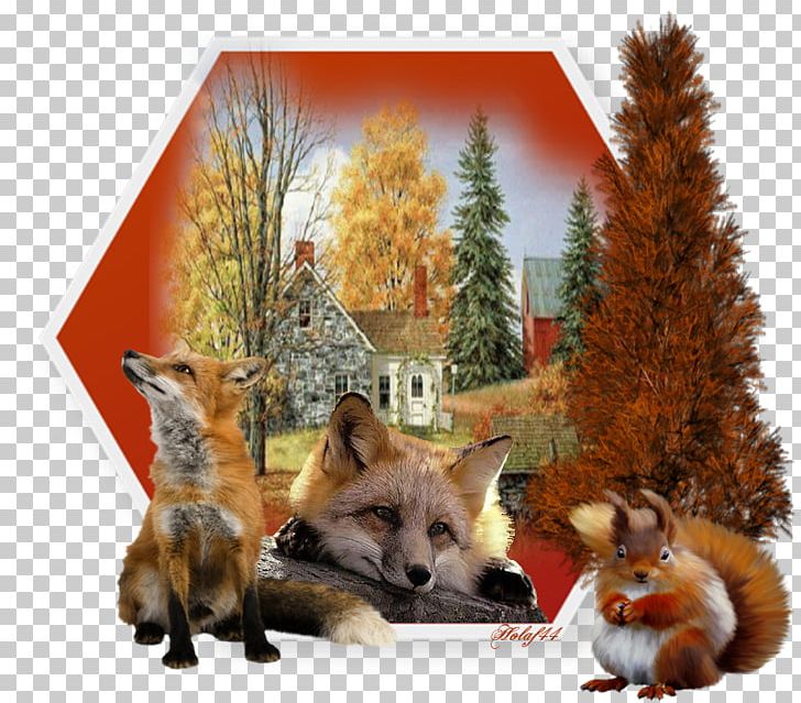 Red Fox Mon Guide De La Nature Fauna Fur PNG, Clipart, Animals, Azur Air, Carnivoran, Dog Like Mammal, Fauna Free PNG Download