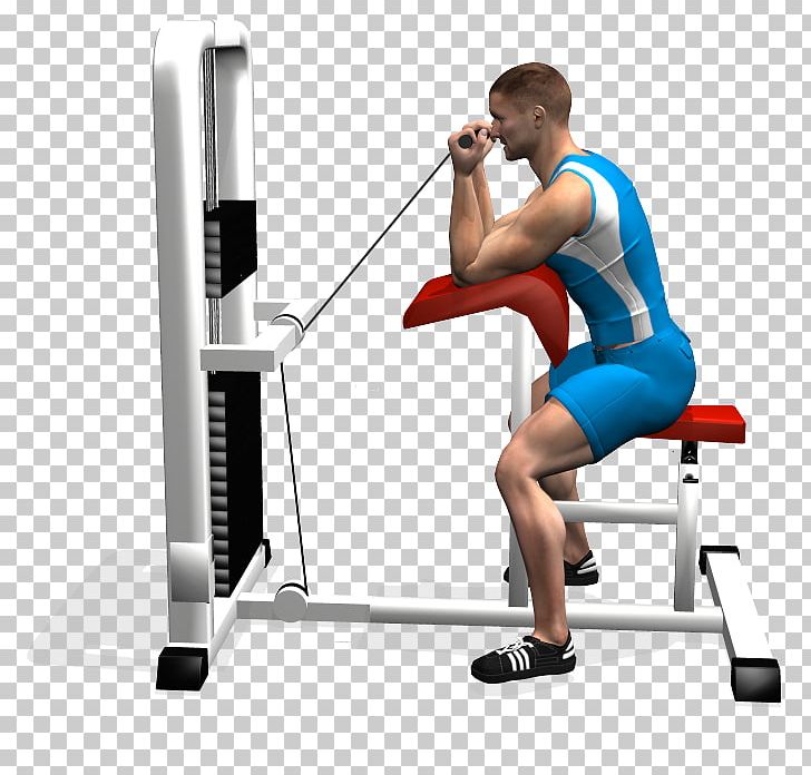 Weight Training Weightlifting Machine Strength Training Hip PNG, Clipart, Abdomen, Arm, Balance, Bench, Exercise Equipment Free PNG Download