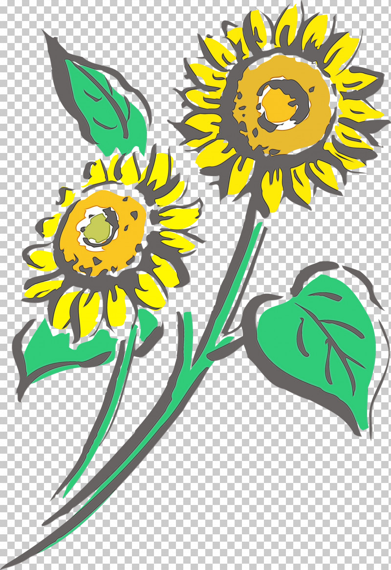 Sunflower PNG, Clipart, Cartoon, Flower, Paint, Plant, Sunflower Free PNG Download