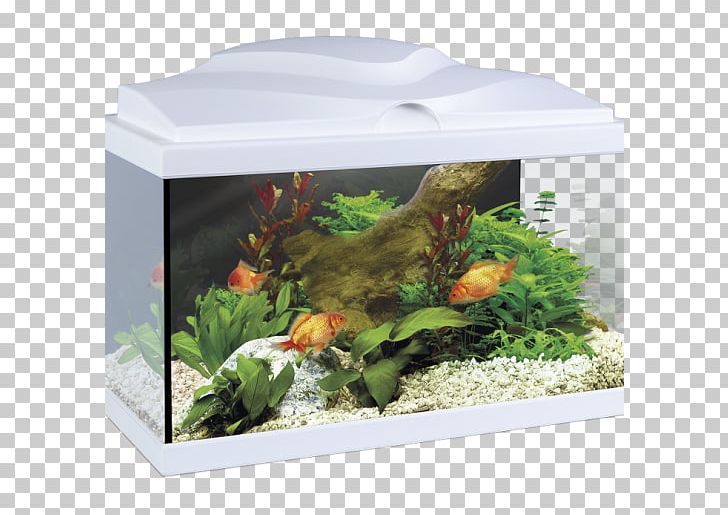 Aquarium Light-emitting Diode Lighting PNG, Clipart, Aqua, Aquarium, Aquarium Decor, Black, Cyan Free PNG Download