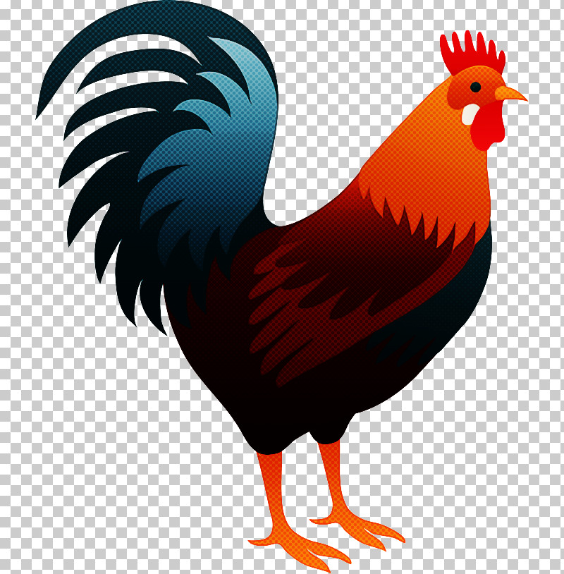 Bird Chicken Rooster Beak Comb PNG, Clipart, Beak, Bird, Chicken, Comb, Fowl Free PNG Download