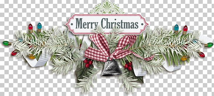 Christmas Decoration Christmas Ornament Conifers Tree PNG, Clipart, Christmas, Christmas Decoration, Christmas Ornament, Conifer, Conifers Free PNG Download