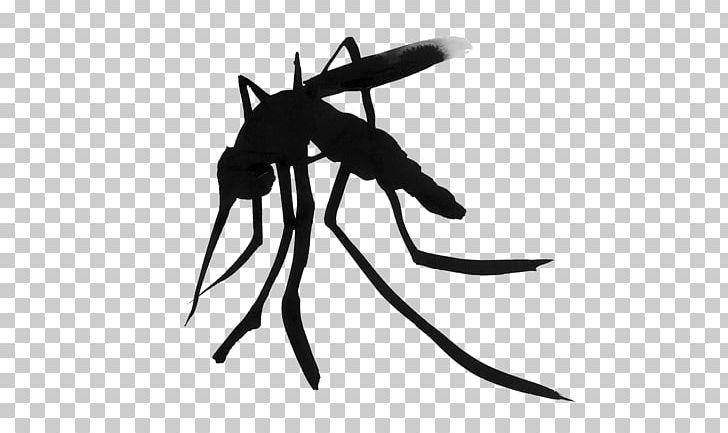 Mosquito Household Insect Repellents Amazon.com DEET PNG, Clipart, Amazoncom, Arthropod, Black And White, Citronella Oil, Computer Software Free PNG Download