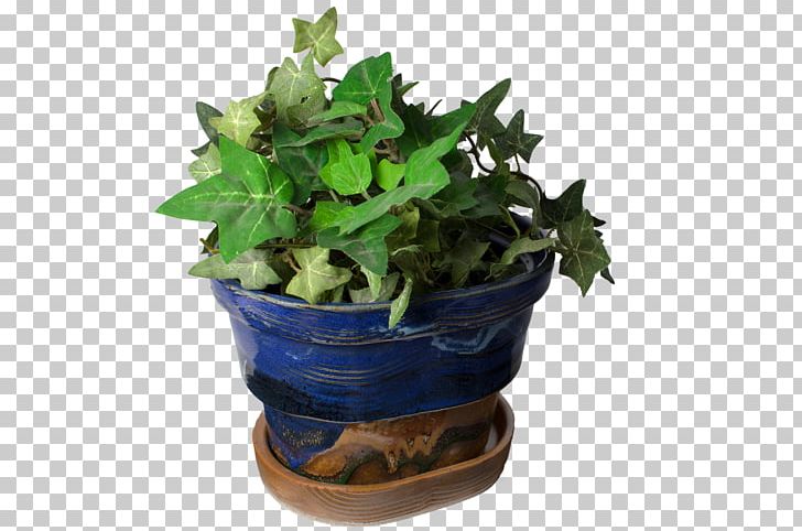 Spring Greens Flowerpot Houseplant Herb Leaf PNG, Clipart, Flowerpot, Herb, Houseplant, Ivy, Leaf Free PNG Download