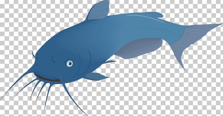 Catfish Tiger Shark Computer Icons PNG, Clipart, Bony Fish, Carp, Cartilaginous Fish, Catfish, Computer Icons Free PNG Download