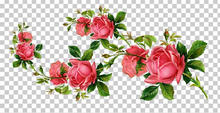Flower PNG, Clipart, Adobe Systems, Branch, Decoupage, Flower, Flower Arranging Free PNG Download