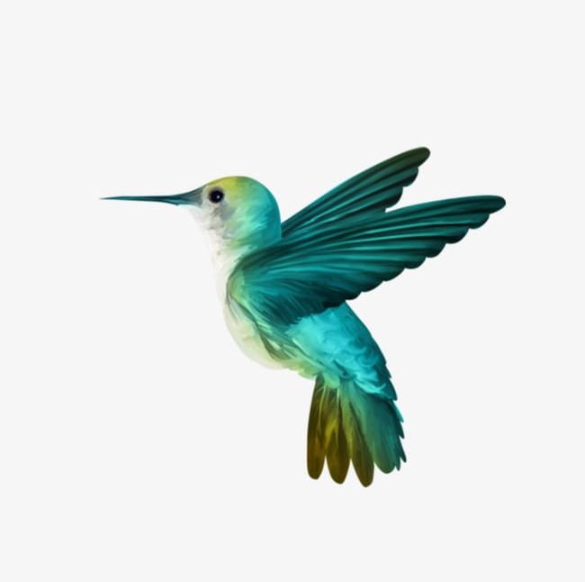 Hummingbird PNG, Clipart, Animal, Birds, Cute, Cute Little Birds, Hummingbird Free PNG Download