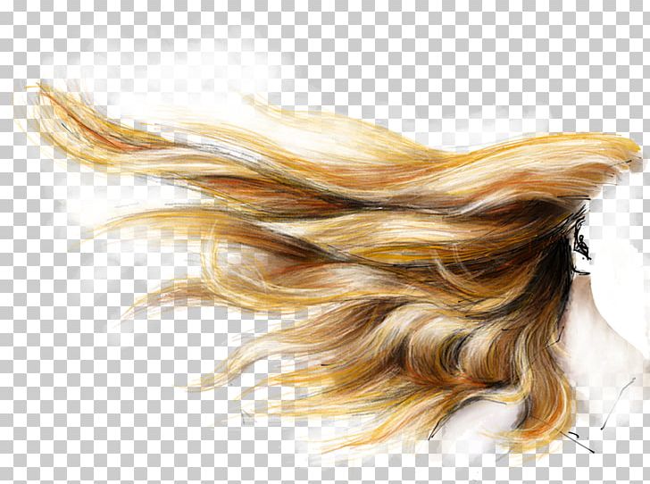 Hair Coloring Brown Hair Human Hair Color Blond PNG, Clipart, Black Hair, Blond, Brown, Brown Hair, Color Free PNG Download