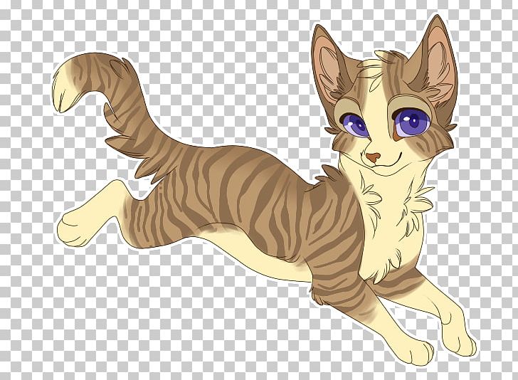 Wildcat Kitten Whiskers Tabby Cat PNG, Clipart, Animal, Animals, Canidae, Carnivora, Carnivoran Free PNG Download