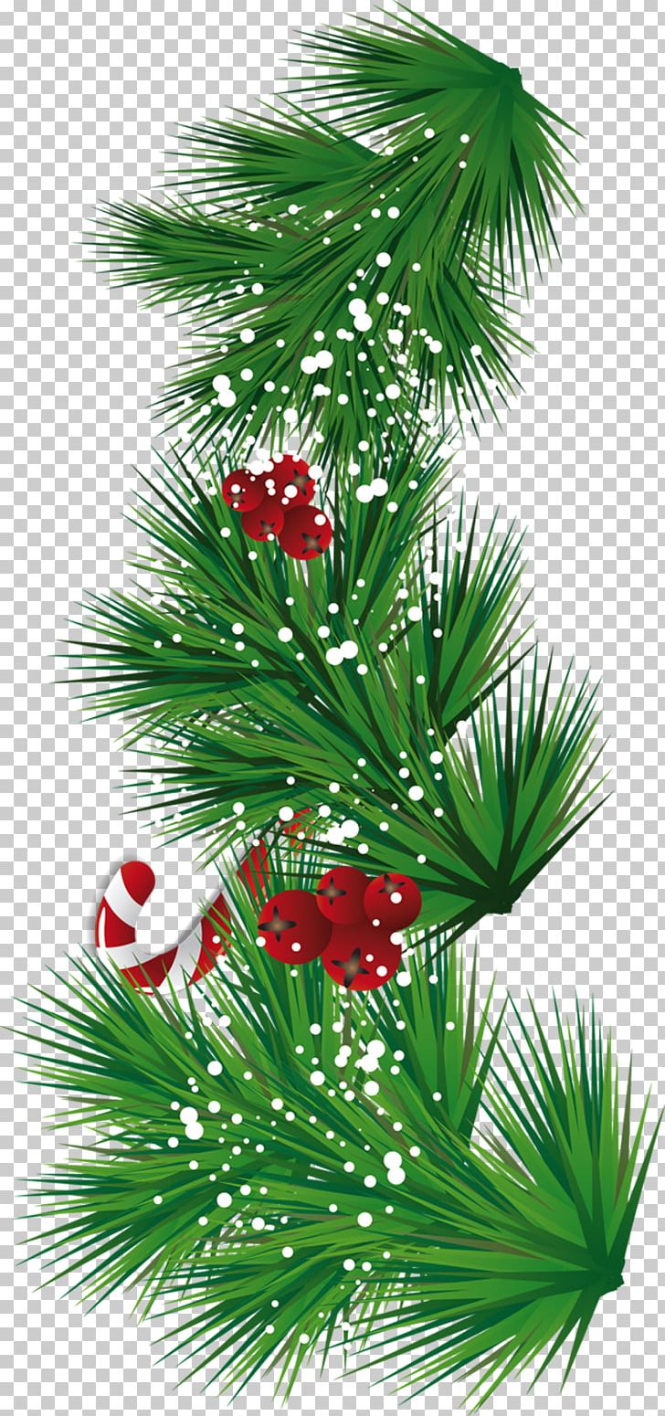 Candy Cane Santa Claus Christmas Tree PNG, Clipart, Areca, Branch, Candy Cane, Christmas, Christmas Decoration Free PNG Download