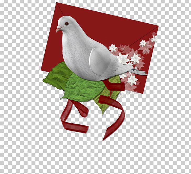 Columbidae Google S PNG, Clipart, Beak, Bird, Christmas, Christmas Decoration, Christmas Ornament Free PNG Download