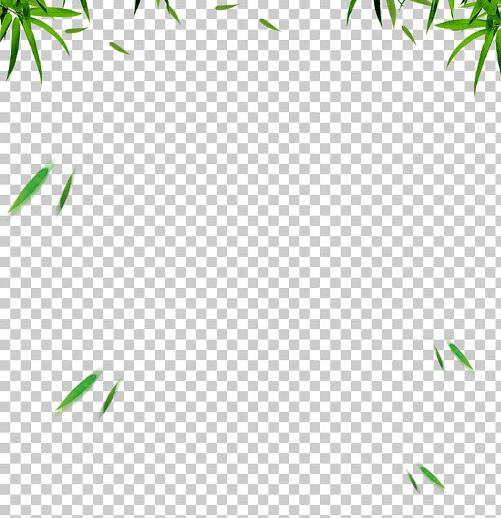 Computer Software RGB Color Model PNG, Clipart, Area, Bamboo, Bamboo Leaves Background, Branch, Grass Free PNG Download