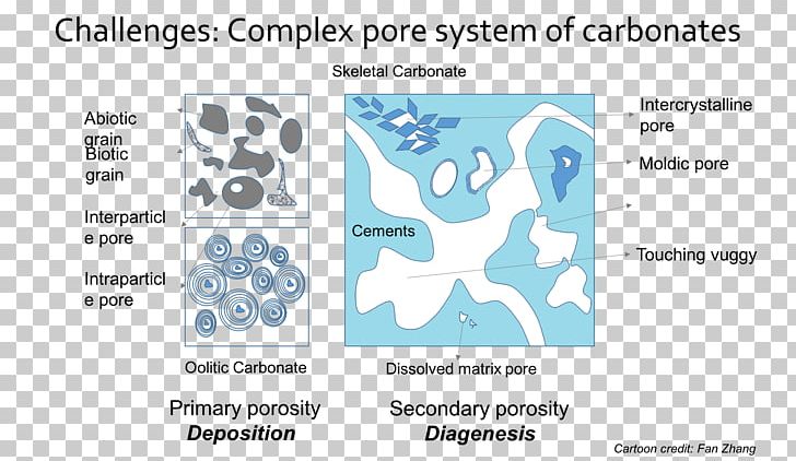 Porosity Carbonate Rock Geophysics PNG, Clipart, Angle, Area, Biosynthesis, Blue, Brand Free PNG Download