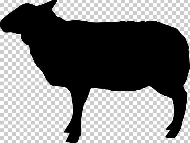 Beef Cattle Welsh Black Cattle Holstein Friesian Cattle Graphics PNG, Clipart, Animals, Ayrshire Cattle, Beef Cattle, Black, Cdr Free PNG Download