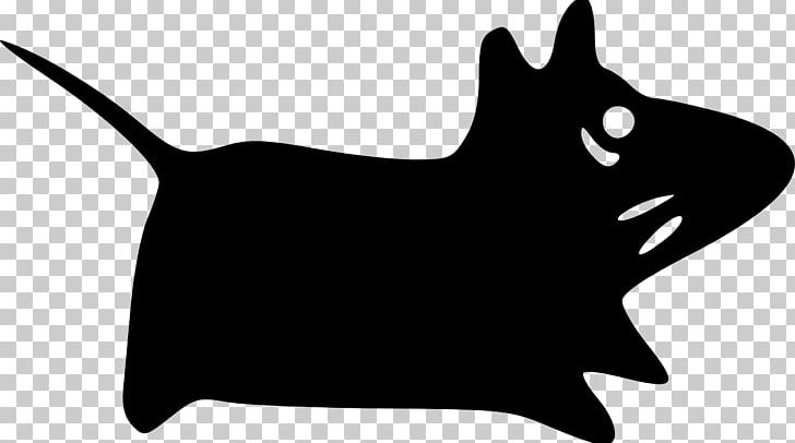 Computer Mouse Xfce PNG, Clipart, Black, Black And White, Black Cat, Carnivoran, Cat Free PNG Download