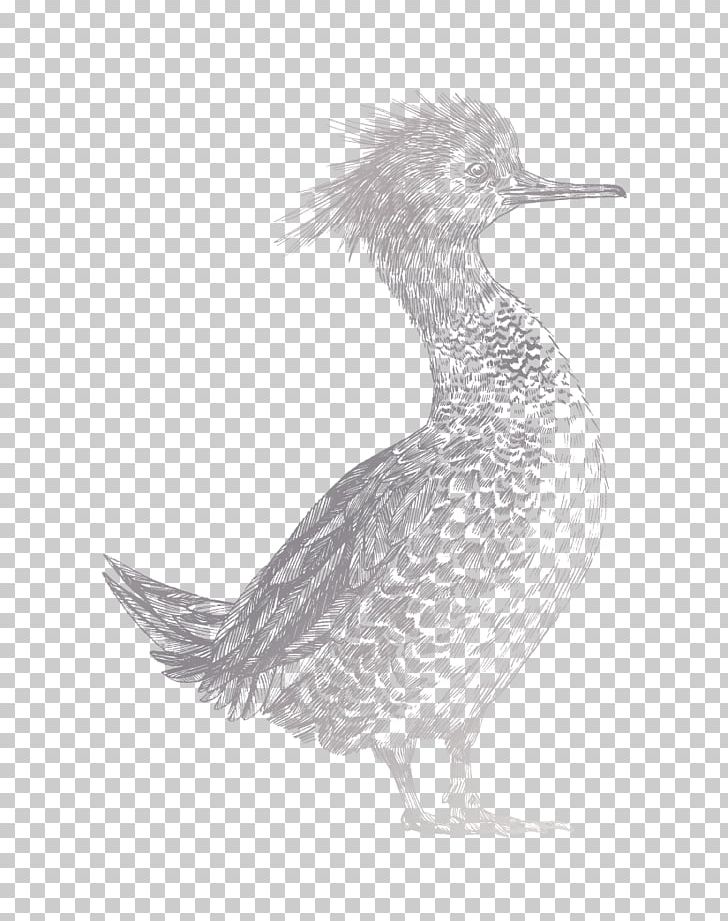 Duck Goose Bird Chicken Packaging And Labeling PNG, Clipart, Animal, Animals, Beak, Bird, Black And White Free PNG Download