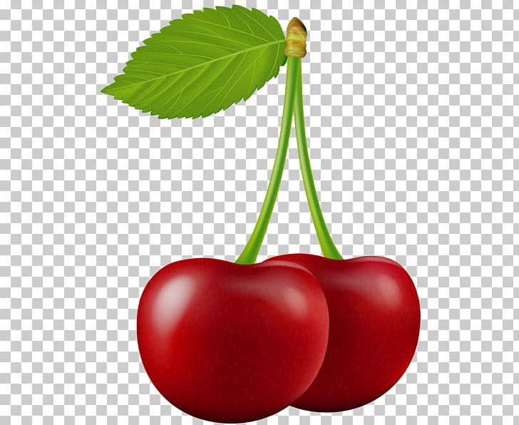 Sour Cherry Fruit PNG, Clipart, Cherry, Cherry Liqueur, Desktop Wallpaper, Food, Fruit Free PNG Download
