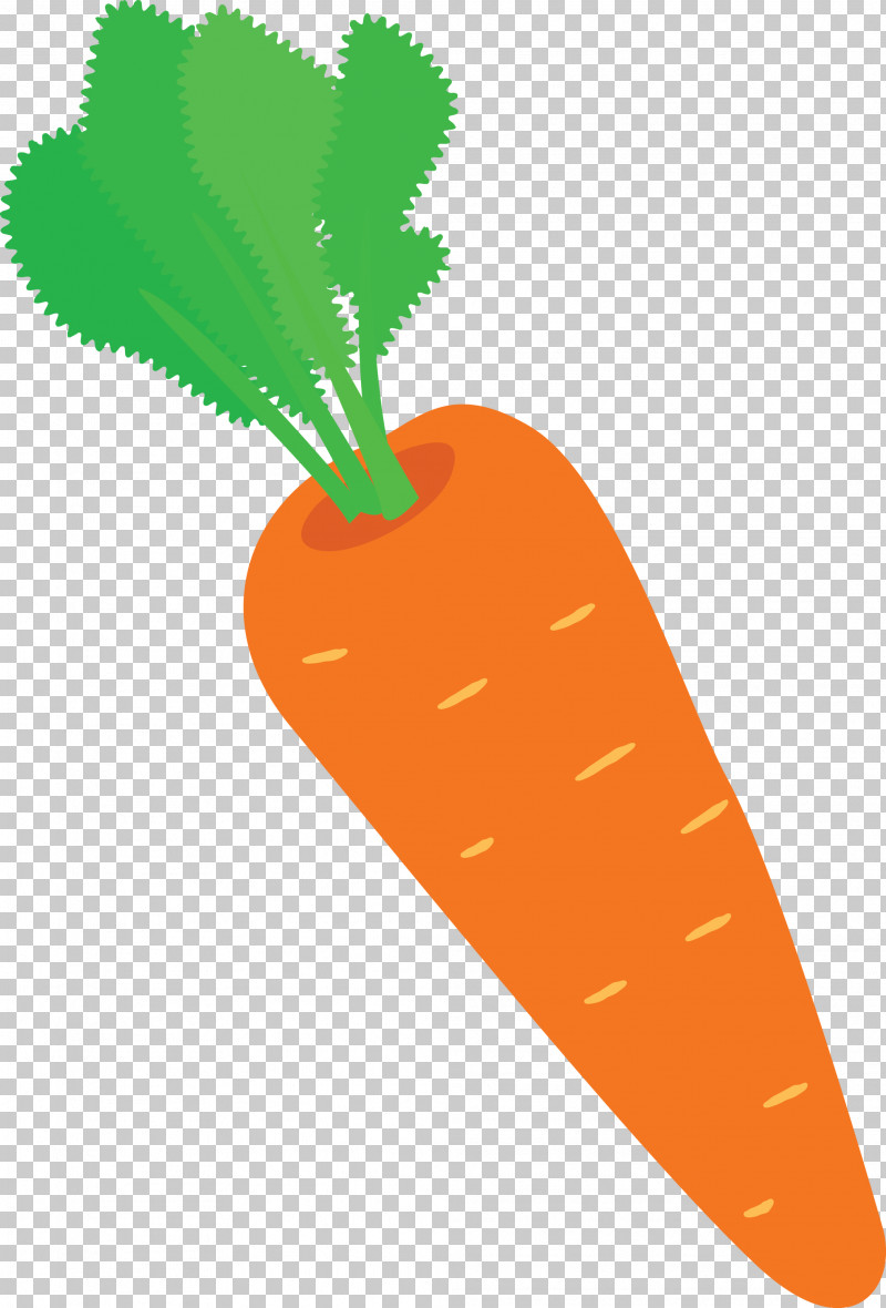 Carrot PNG, Clipart, Carrot, Fruit, Geometry, Line, Mathematics Free PNG Download