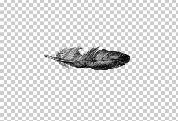 Drawing Feather Line Art PNG, Clipart, Animal, Animals, Art, Background Black, Birds Free PNG Download