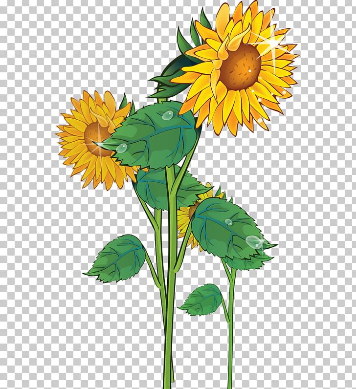 Free Content Website PNG, Clipart, Copyright, Cut Flowers, Daisy Family, Flower, Flower Arranging Free PNG Download