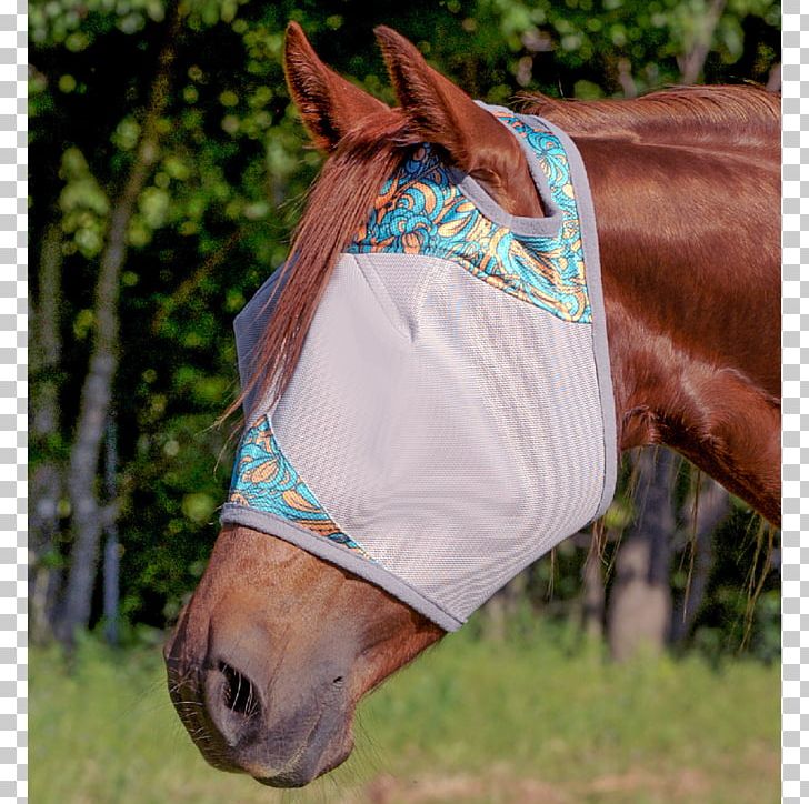 Horse Fly Mask Halter Bridle PNG, Clipart, Animals, Bridle, Camouflage, Cashel County Tipperary, Fly Free PNG Download