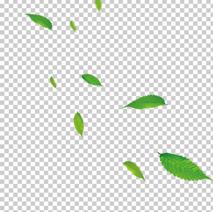 Leaf Green PNG, Clipart, Branch, Client, Computer Software, Download, Green Free PNG Download