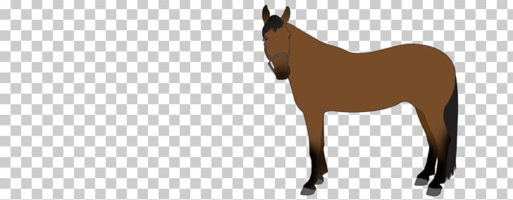 Mule Foal Stallion Colt Mare PNG, Clipart, Bridle, Colt, Foal, Halter, Horse Free PNG Download