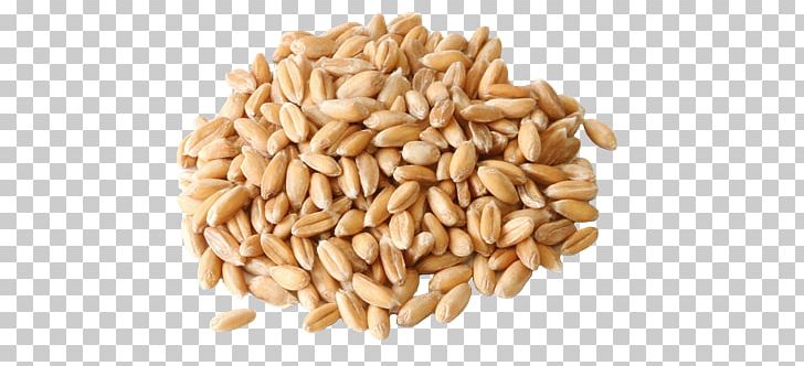 Spelt Pasta Flour Common Wheat Seed PNG, Clipart, Bread, Cereal, Cereal Germ, Commodity, Dinkel Wheat Free PNG Download