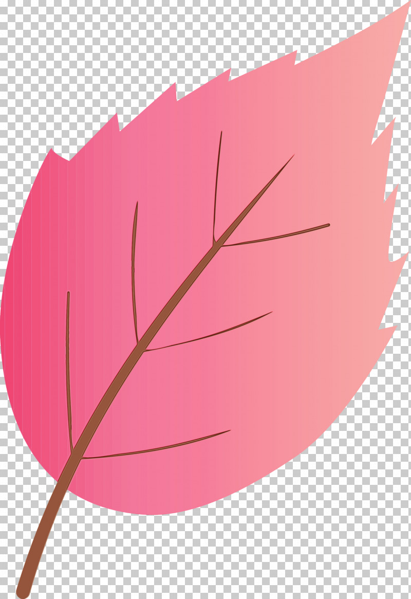 Leaf Pink Plant Tree Flower PNG, Clipart, Flower, Leaf, Paint, Pink, Plant Free PNG Download